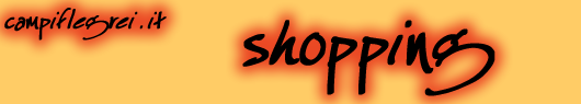 shopping